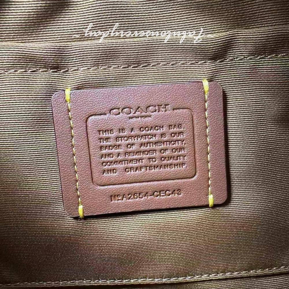 Coach Teri Shoulder Bag Crossbody With Charm Straw/Gold/Toast CEC43 NWT - Picture 8 of 8